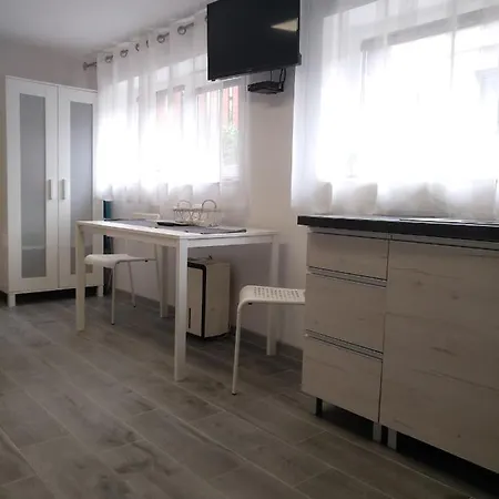 Bumerang Проживание в семье Свиноуйсьце