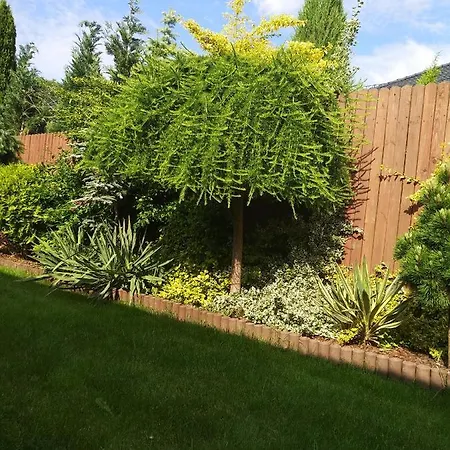 Bumerang Проживание в семье *