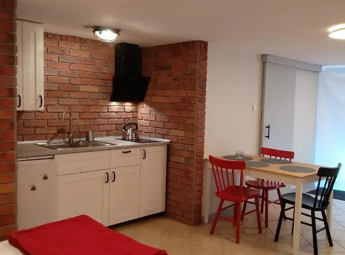 Bumerang Проживание в семье *