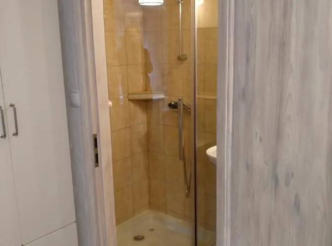 Bumerang Проживание в семье *