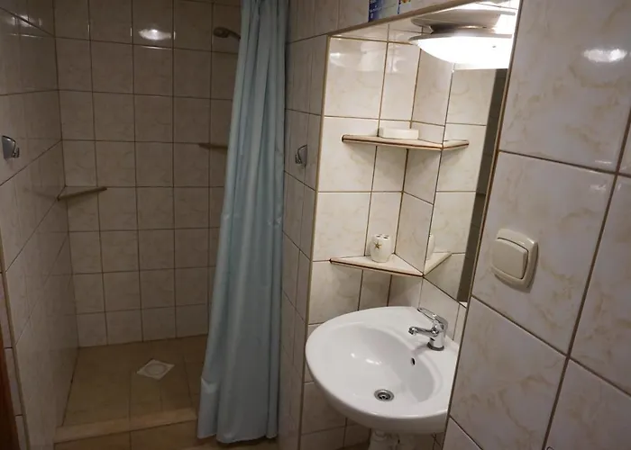 Bumerang Проживание в семье *